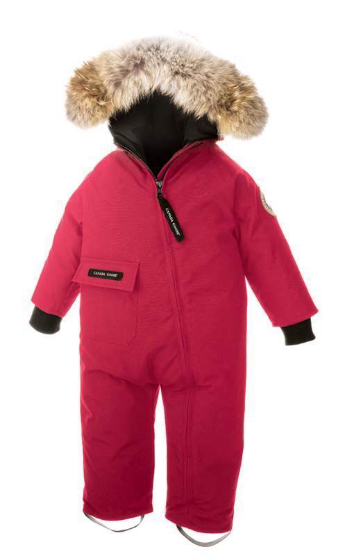 Pink Snow Bunting Canada Goose Baby online